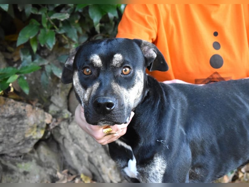 Kristian - SOS - Braucht ganz dringend ein Ausreiseticket