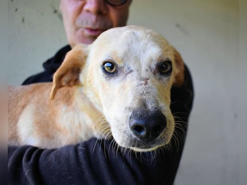 Boris - Wie lange würdest du das aushalten?