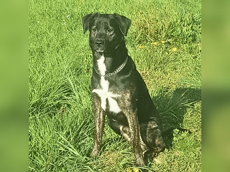 Adam - Sieben Jahre - und noch ein ganzes Leben vor sich