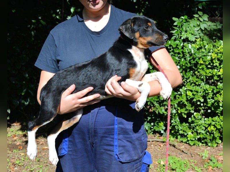 Zelia - Menschen zum Lachen bringen, das ist der Plan
