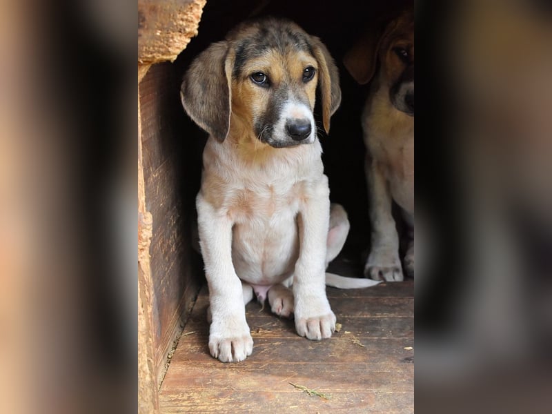 Wasker - Als Mama noch bei uns war