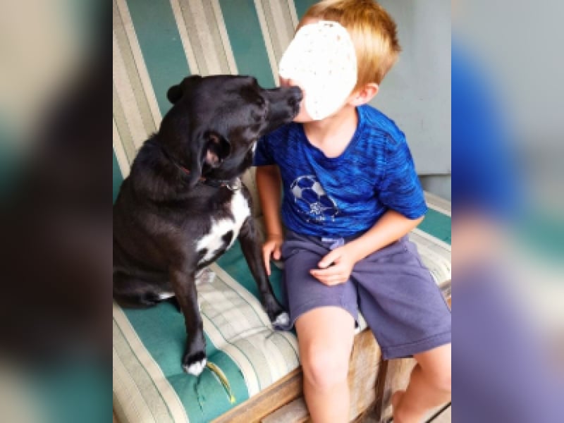 Nikulas - Hallo neues Glück!