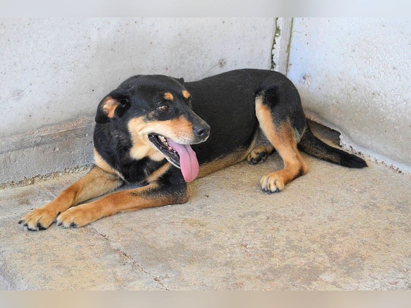 Mirjana - Mit Rückenwind ins Glück!