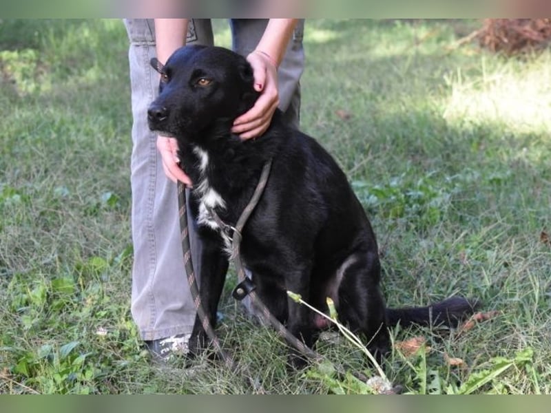 Rafeed - Möge der kleine Drache ihn beschützen