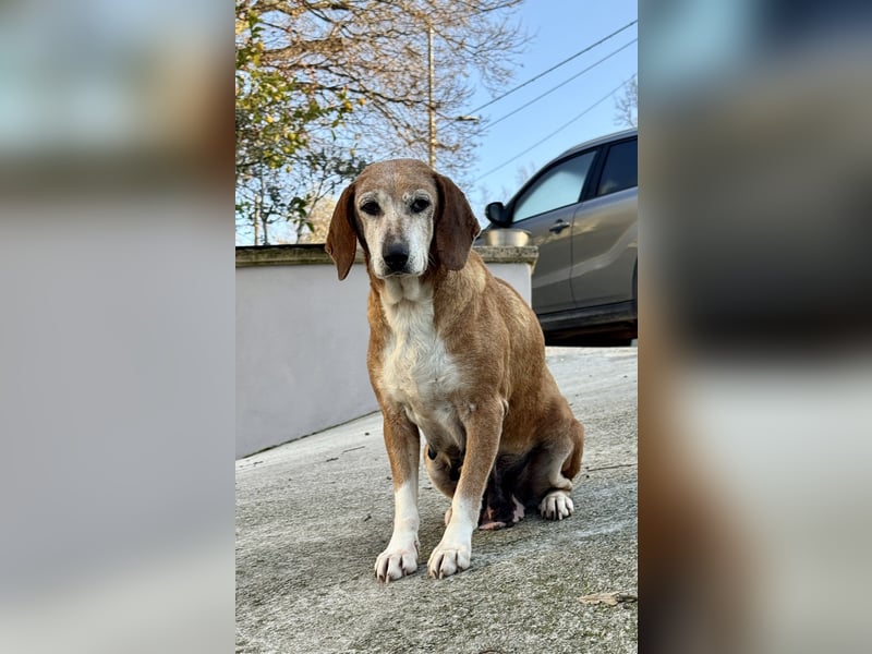 Silke - Zehn Jahre Stärke, jetzt ist sie an der Reihe