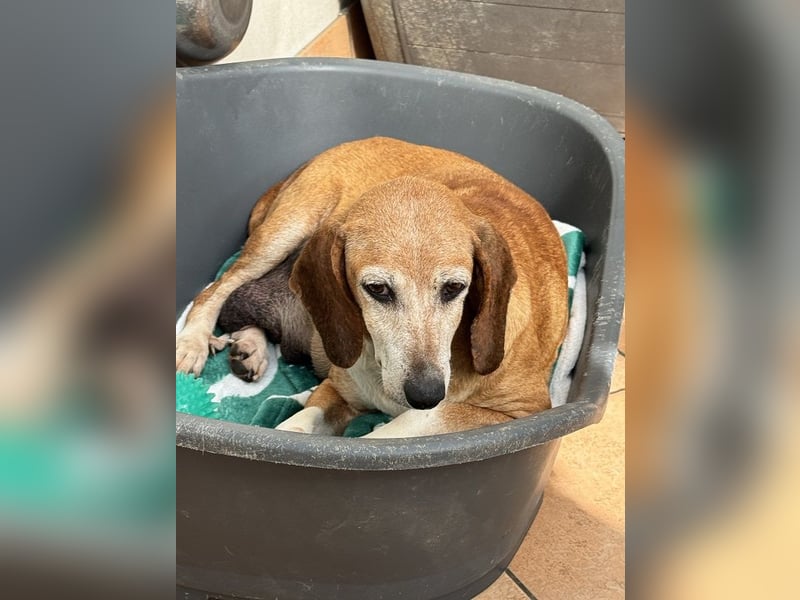 Silke - Zehn Jahre Stärke, jetzt ist sie an der Reihe