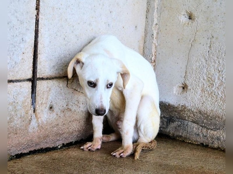 Radford - Ein Anfang, der nie kam