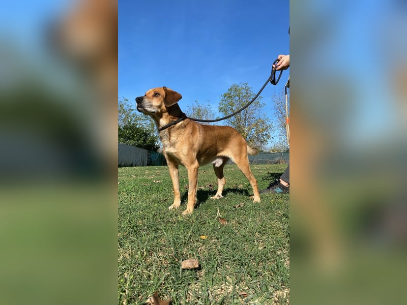 Houdini - ein frischer Wind