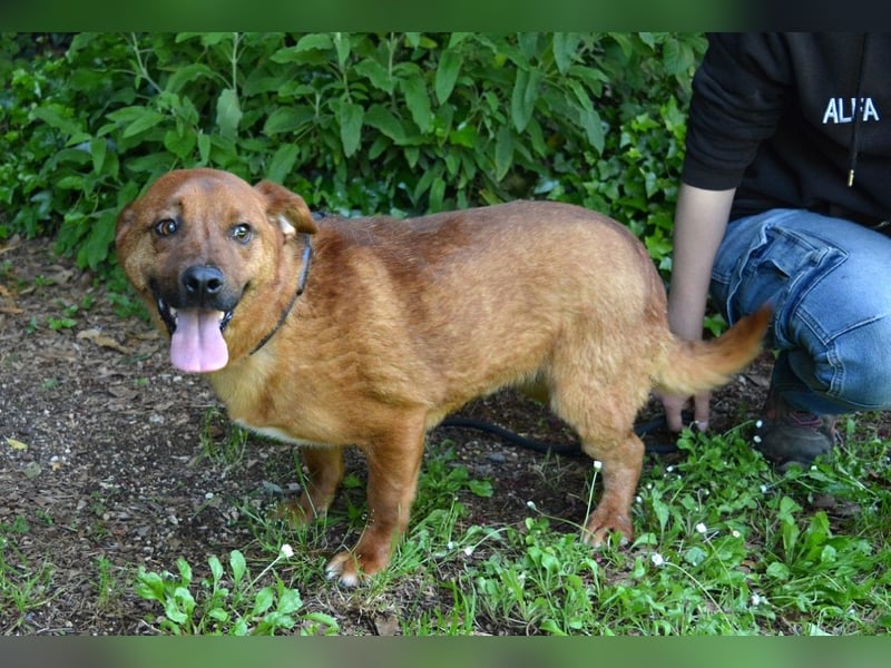 Monaldo - In der Ruhe liegt die Kraft!