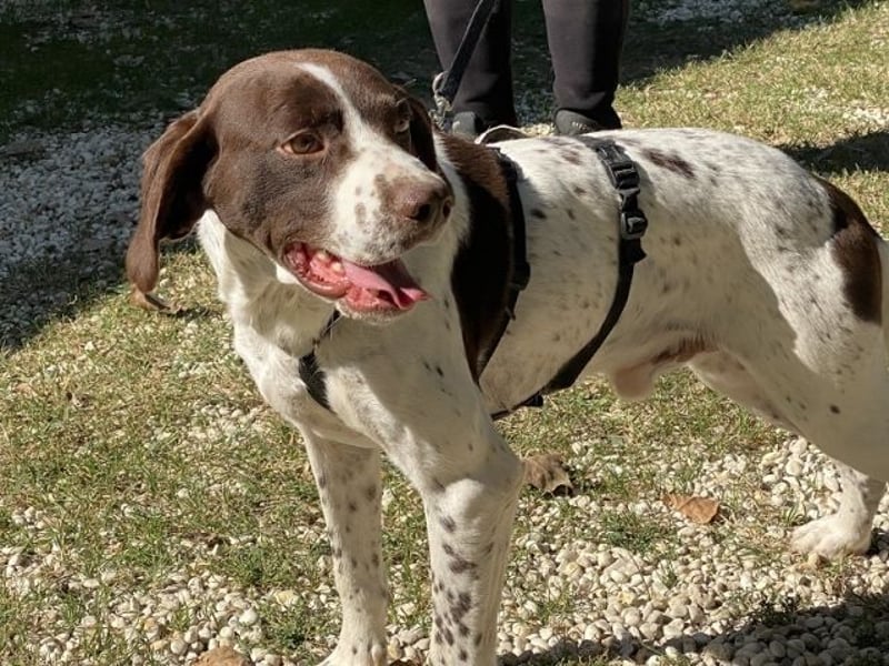 Sandro - Liebster Freigeist sucht Familie (gerne mit Kindern)