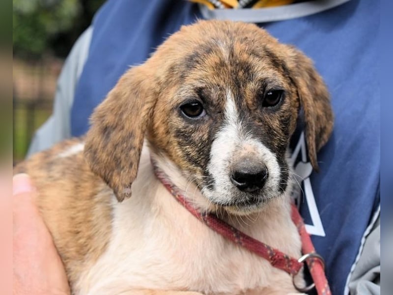 Woola - Als Mama noch bei uns war