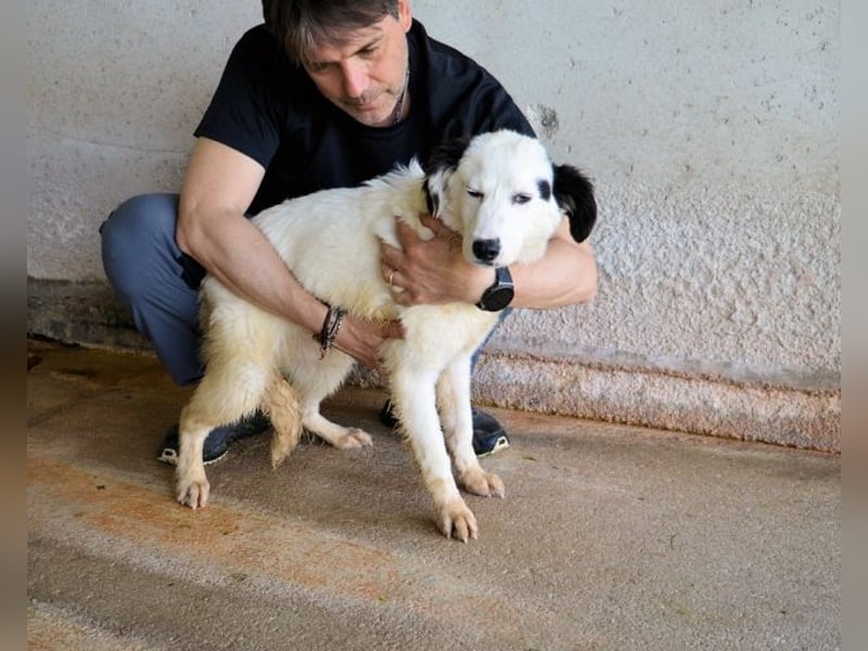 Rylando - Ein Anfang, der nie kam