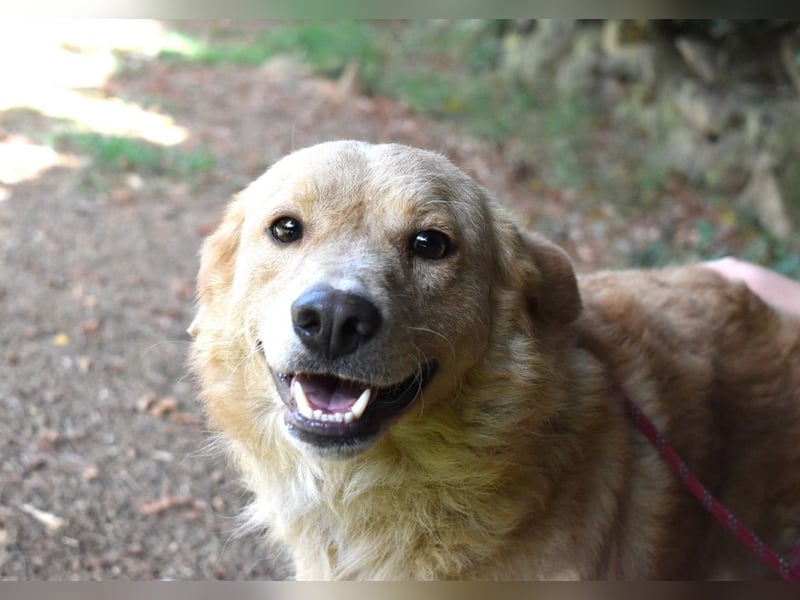 Gibble - Wie ein Wort, das auf der Zunge liegt ...