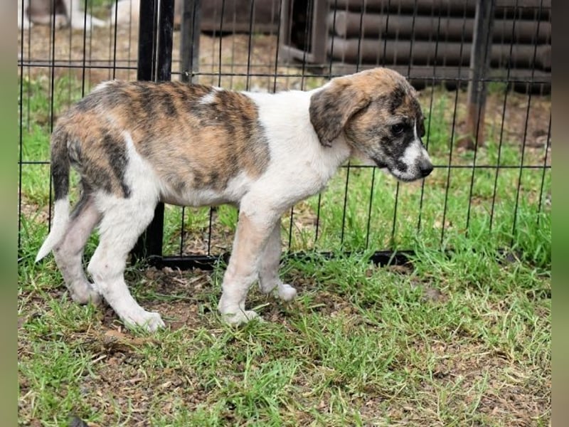 Woola - Als Mama noch bei uns war