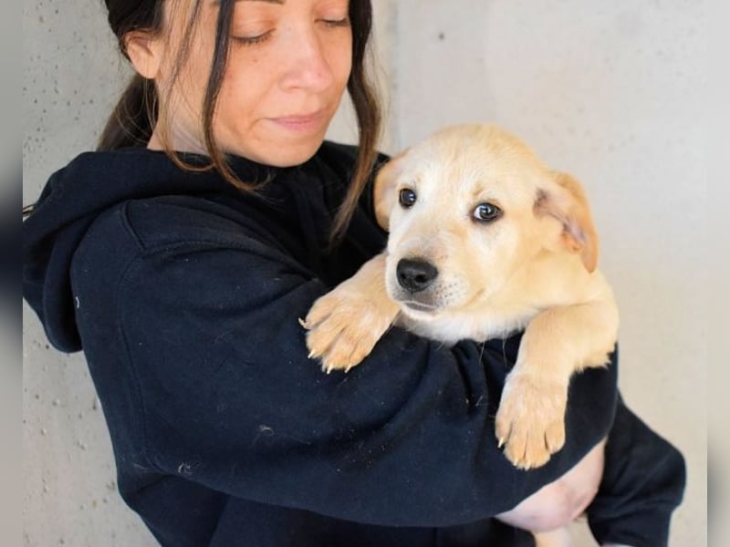 Sirette - ...und Sniffy halten zusammen