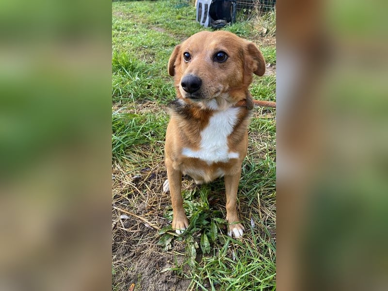 Sandokan - manches braucht ein Wunder