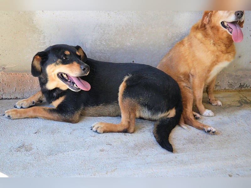 Mirjana - Mit Rückenwind ins Glück!