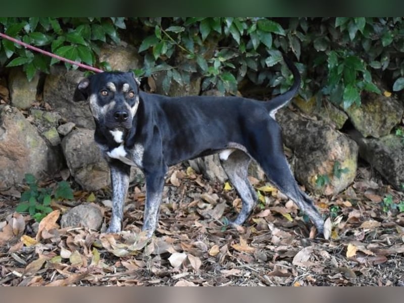 Kristian - SOS- Braucht ganz dringend ein Ausreiseticket