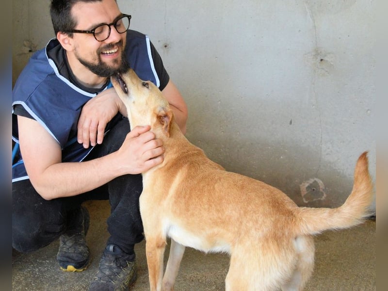 Boris - Wie lange würdest du das aushalten?