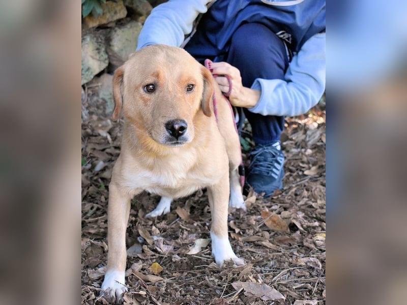 Burke - Der sanfte Bruder mit dem warmen Blick