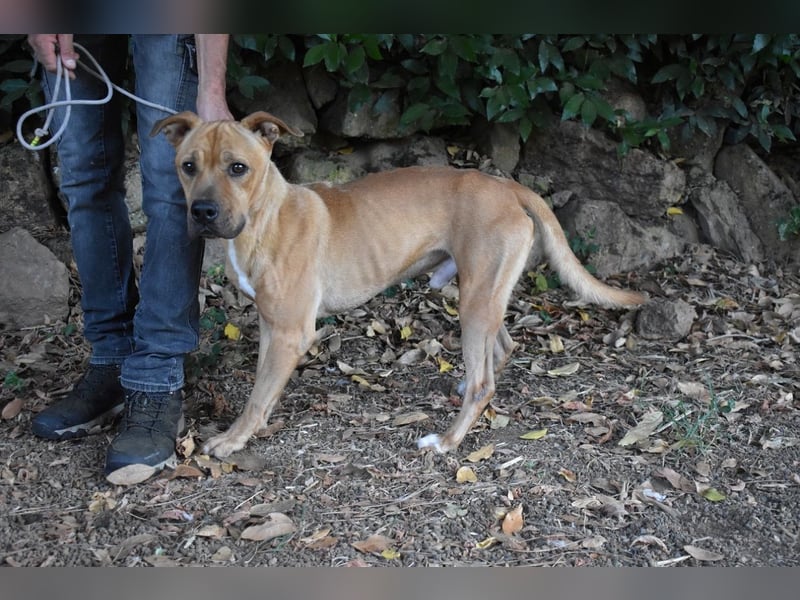 Moises - Wie kannst Du sein?