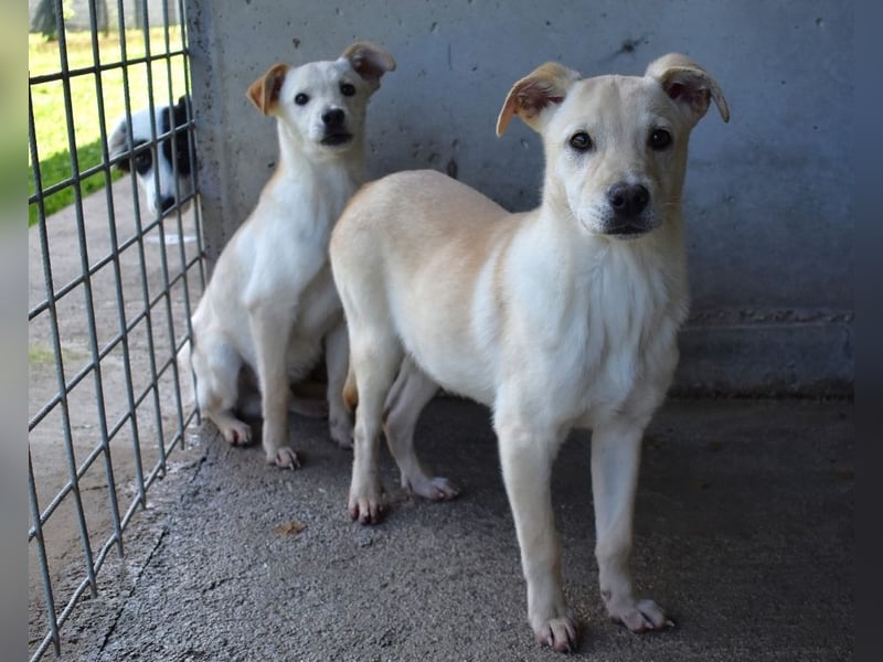 Elaro - gesucht: ein Post-it mit "Sicherheit"