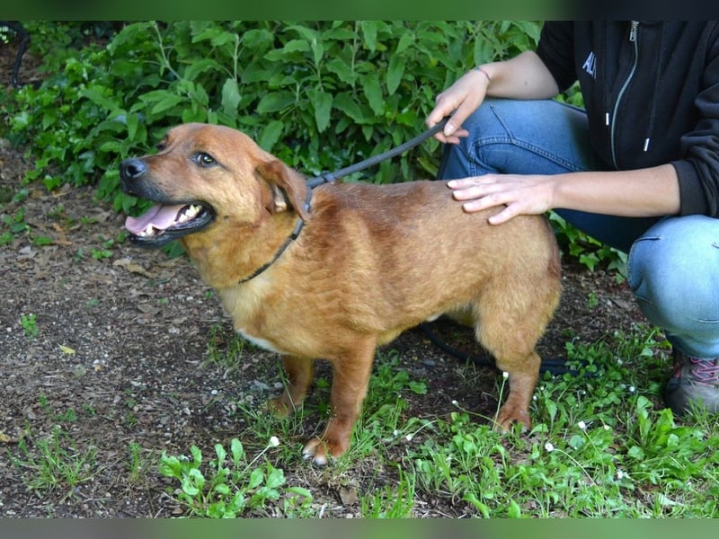 Monaldo - In der Ruhe liegt die Kraft!