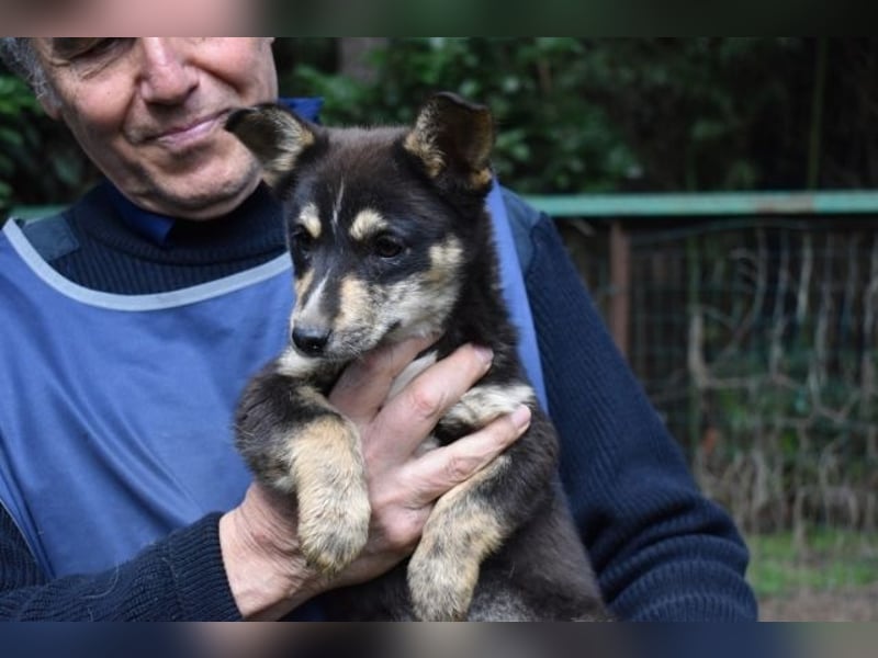 Vionella - Kuckuck...hallo...sind da draußen Menschen?
