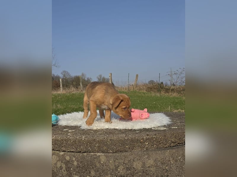 Linou - Also ehrlich, wir sind doch nur Babys!