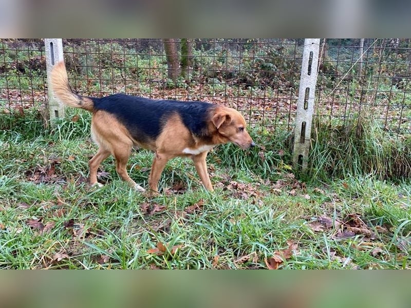 Sandokan - manches braucht ein Wunder