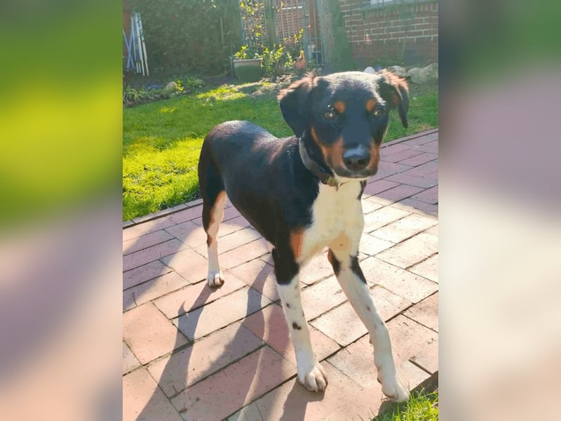 Zelia - Menschen zum Lachen bringen, das ist der Plan