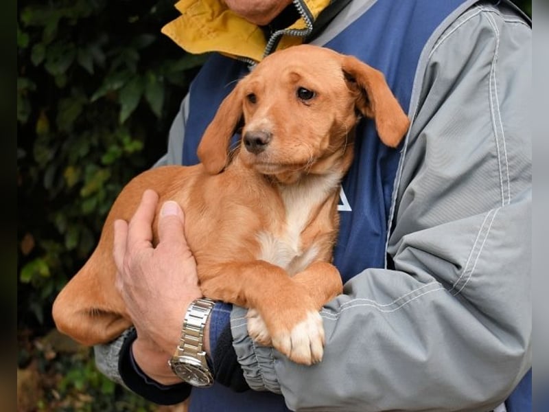 Wixelle - Als Mama noch bei uns war