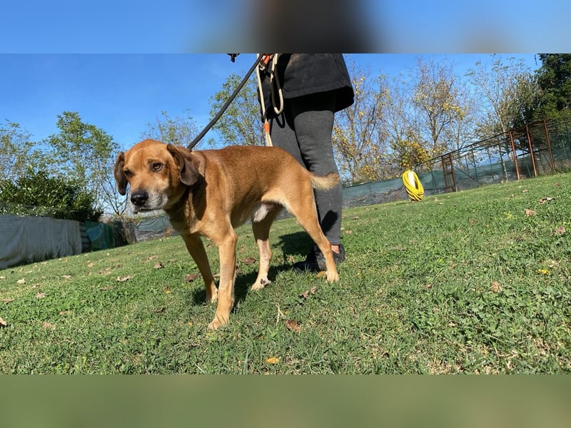 Houdini - Sind Sie Houdinis Houdini?