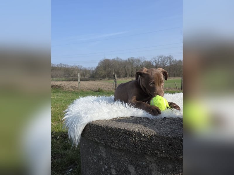 Liva - Also ehrlich, wir sind doch nur Babys!