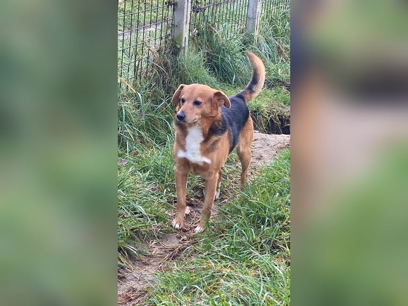 Sandokan - manches braucht ein Wunder