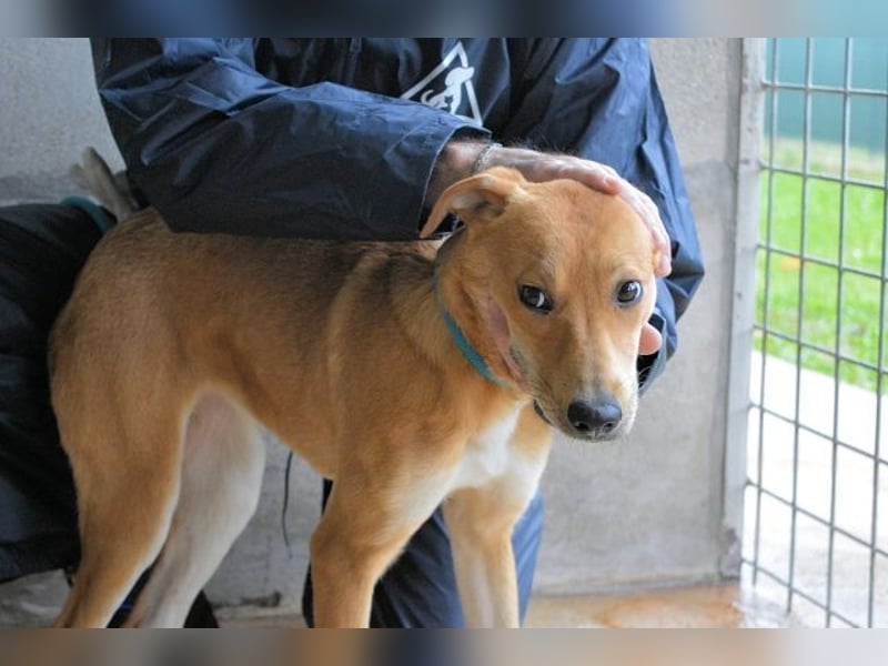 Idalee - Die Wunde namens Zeit