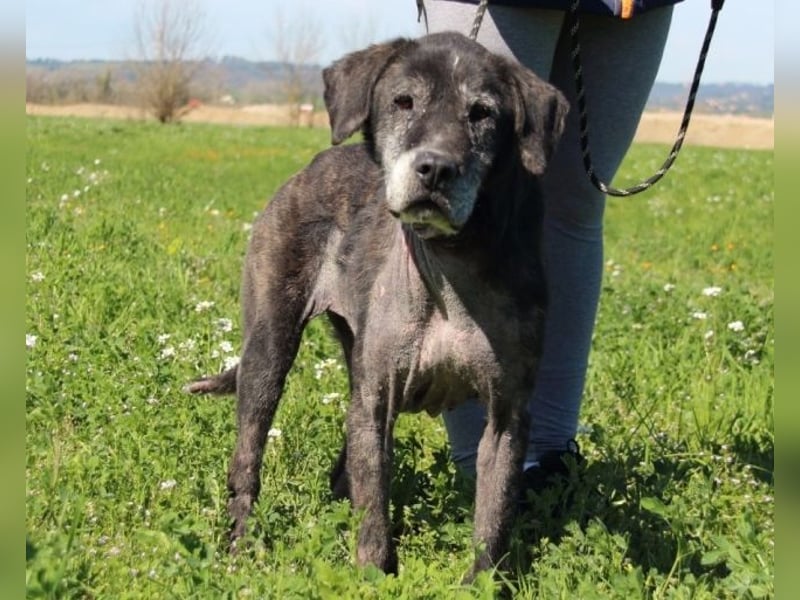 Gweni - SOS - Hoffnung auf ein Ende der Odyssee