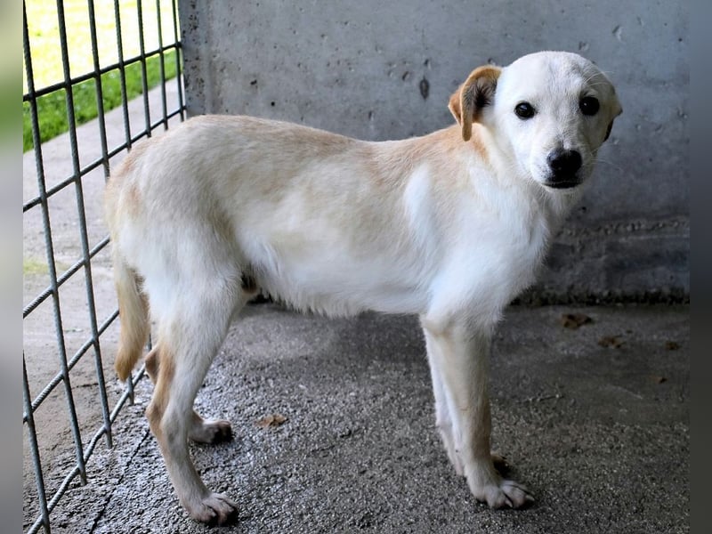 Elvio - seine Mut-Münzen sind fast aufgebraucht