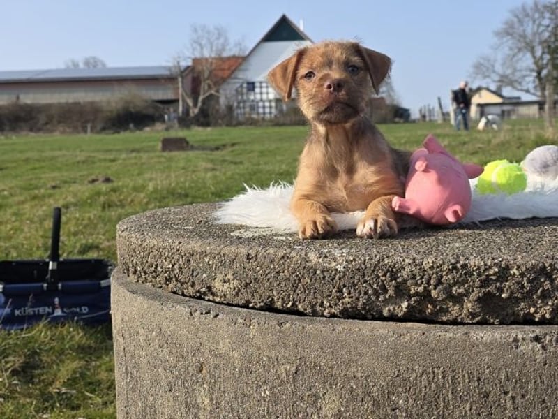 Lumi - Also ehrlich, wir sind doch noch Babys!