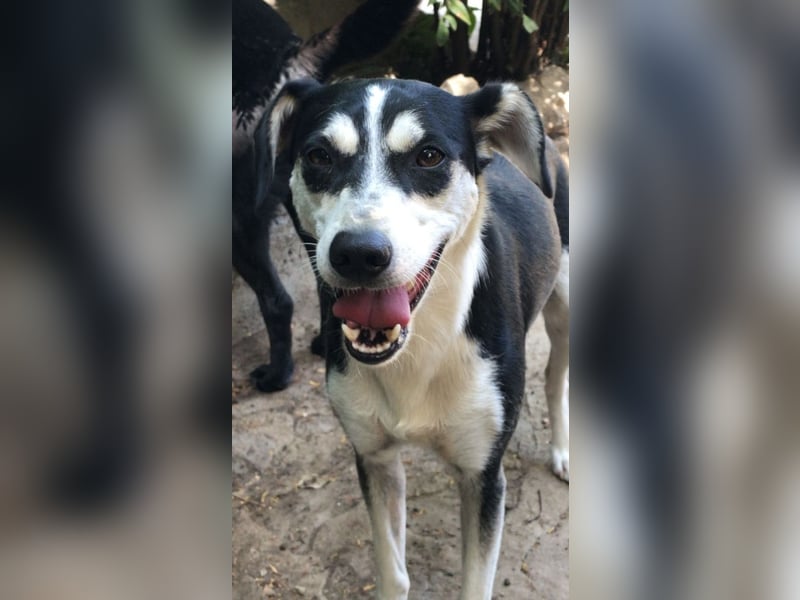 Nikita - Still, übersehen und dabei so besonders