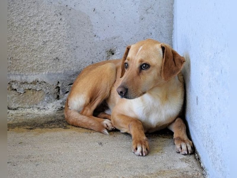 Bendix - wenn du mutig bist, dann bin ich es auch!
