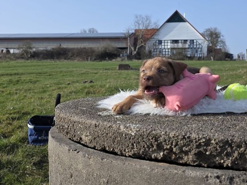 Lumi - Also ehrlich, wir sind doch noch Babys!