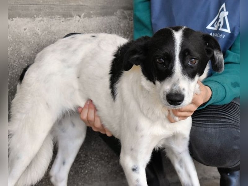 Deliane - Navigation auf "Zuhause" gestellt