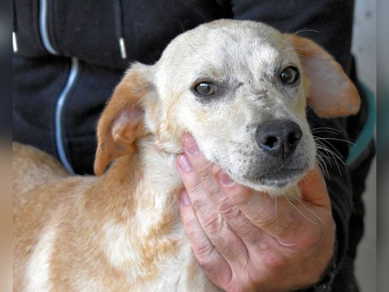 Boris - Wie lange würdest du das aushalten?