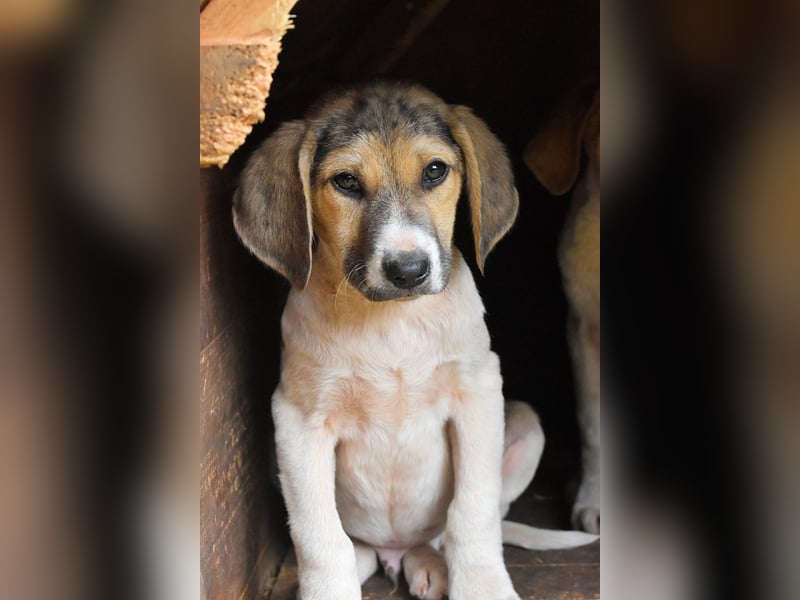 Wasker - Als Mama noch bei uns war