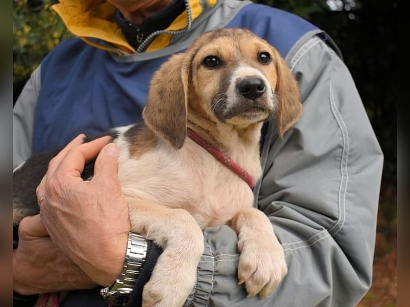 Wasker - Als Mama noch bei uns war