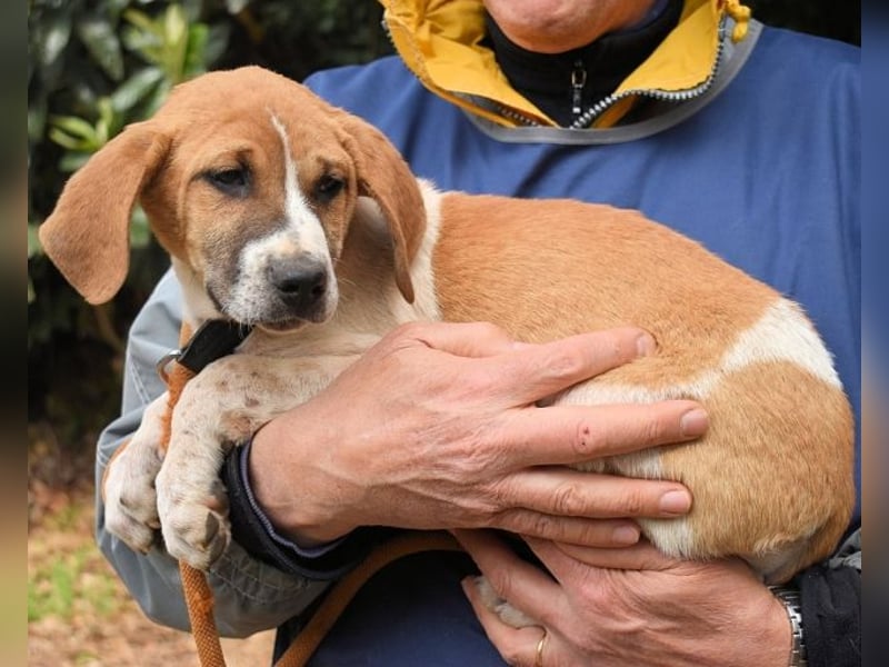 Waylo - Als Mama noch bei uns war