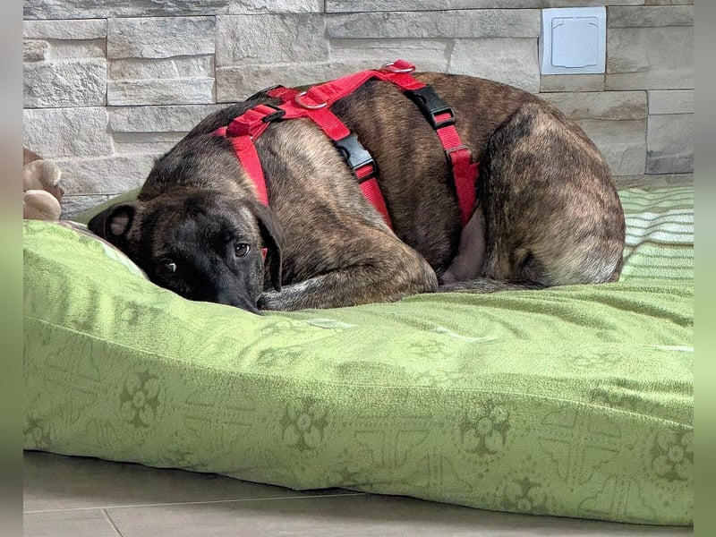 Branson - taut langsam auf und sucht Menschen mit Zeit