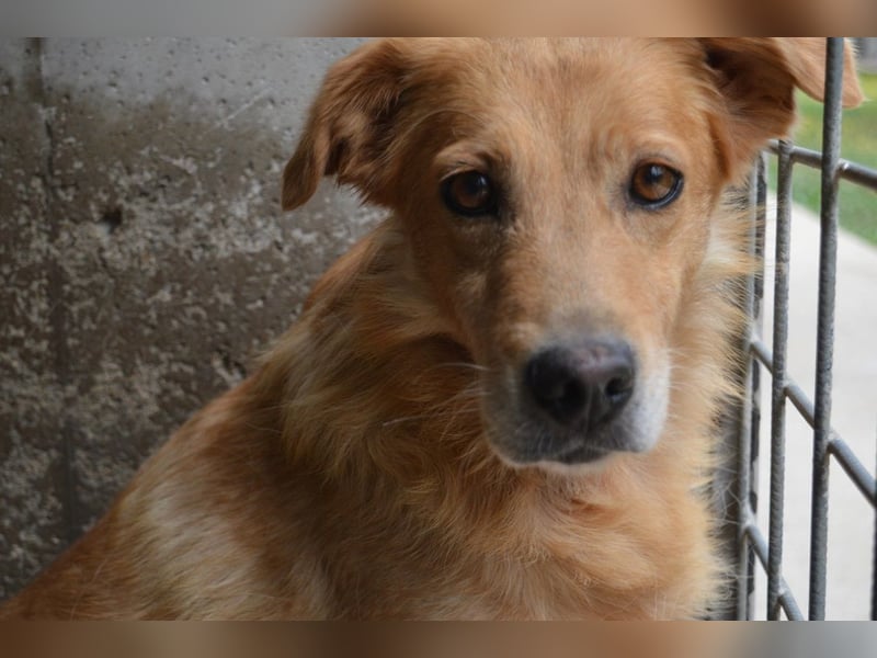 Ferelith - Was wäre, wenn....