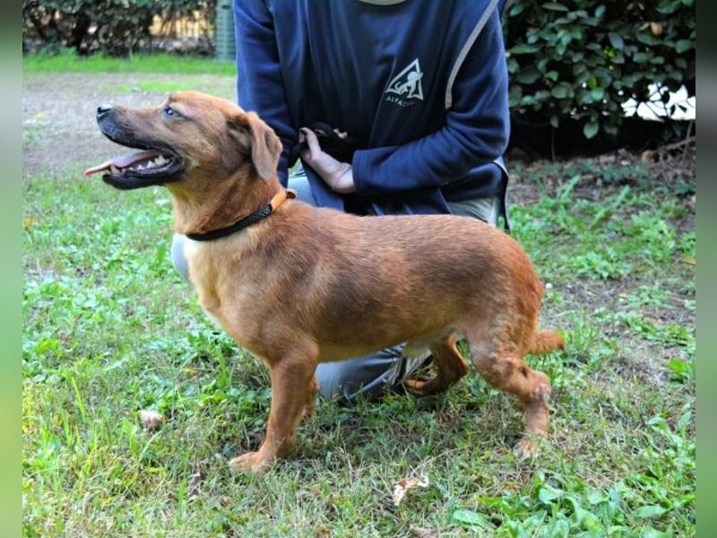 Monaldo - In der Ruhe liegt die Kraft!